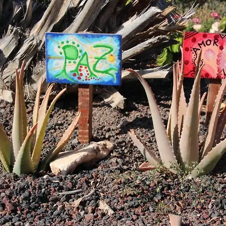 Casa Madre Tierra *