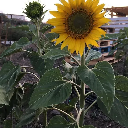 아파트 Casa Madre Tierra 라 파레드