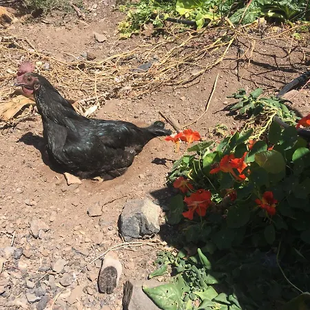 Casa Madre Tierra 아파트 *